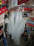 IMG_2869.JPG