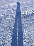 IMG_2918.JPG